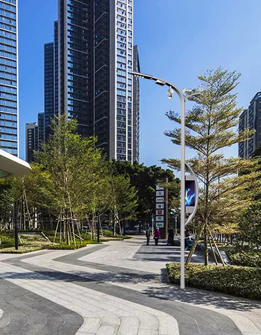 智慧路灯ZX-ZHLD013