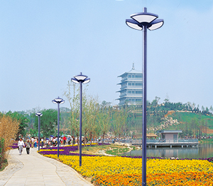 庭院灯ZX-TYD037