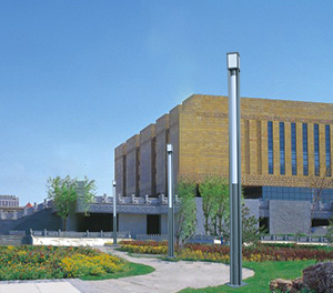 LED景观灯ZX-JGD035