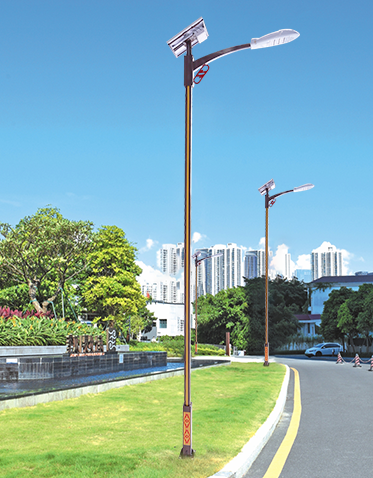 LED太阳能路灯ZX-LD030