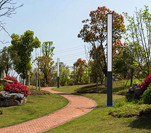 LED景观灯ZX-JGD040