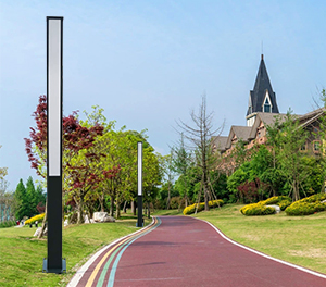 LED景观灯ZX-JGD040