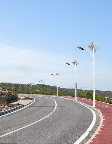 LED单臂太阳能路灯ZX-LD031