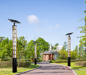 LED景观灯ZX-JGD042