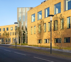 LED庭院灯ZXTYD066