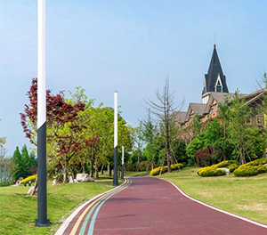 香港六和合资料led景观灯ZX-JGD046