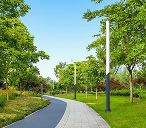 香港六和合资料led景观灯ZX-JGD046