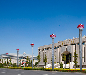 LED景观灯ZX-JGD047