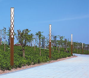 LED景观灯ZX-JGD050