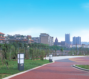 香港六和合资料LED草坪灯ZX-CPD036