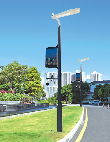 智慧路灯ZX-ZHLD014