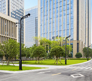 香港六和合资料智慧路灯ZX-ZHLD017