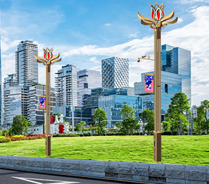 香港六和合资料智慧路灯ZX-ZHLD018