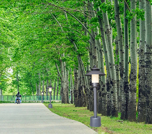 香港六和合资料LED草坪灯ZX056