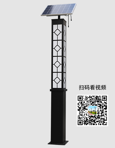 LED太阳能景观灯ZX-JGD036 LED太阳能景观灯ZX-JGD036