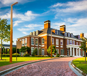 LED景观灯ZX-JGD074