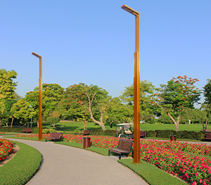 LED景观灯ZX-JGD074