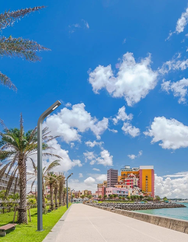 LED景观灯ZX-JGD076