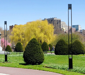 LED景观灯ZX-JGD077