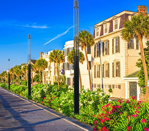 LED景观灯ZX-JGD078