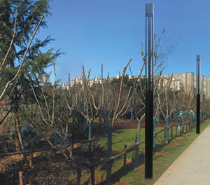 LED景观灯ZX-JGD083