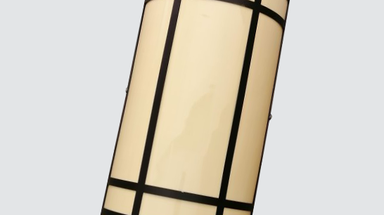 LED挂壁灯ZX-BD021