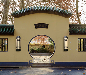 LED挂壁灯ZX-BD021