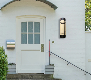 LED挂壁灯ZX-BD021