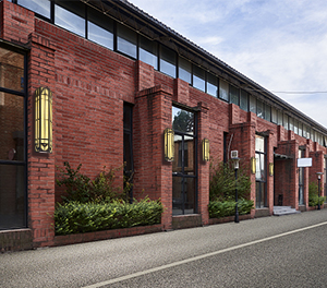 LED挂壁灯ZX-BD022 LED挂壁灯ZX-BD022