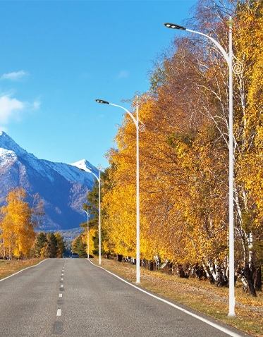 LED市电路灯ZX-LD041 LED市电路灯ZX-LD041