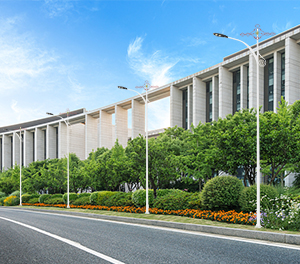 LED市电路灯ZX-LD041