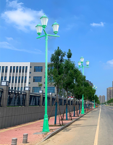 LED市电庭院灯ZX-TYD064