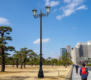 LED庭院灯ZX-TYD067