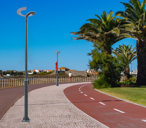 LED庭院灯ZX-TYD069