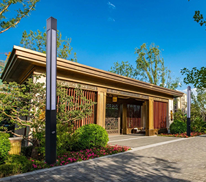 LED景观灯ZX-JGD095