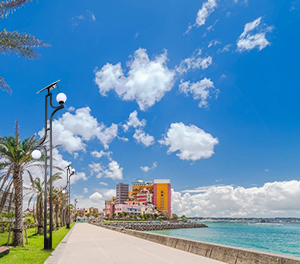 LED庭院灯ZX-TYD079