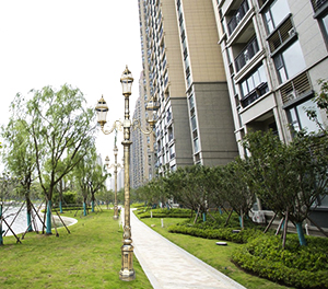 LED庭院灯ZX-TYD083