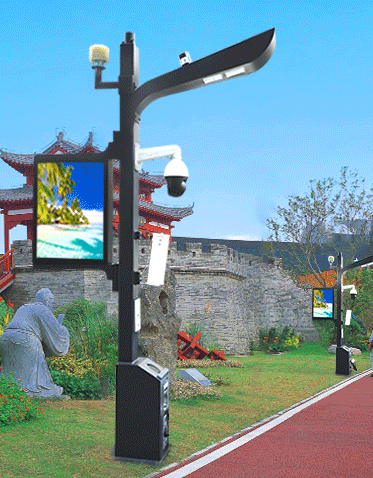 智慧路灯ZX-ZHLD021