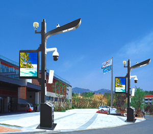 智慧路灯ZX-ZHLD021