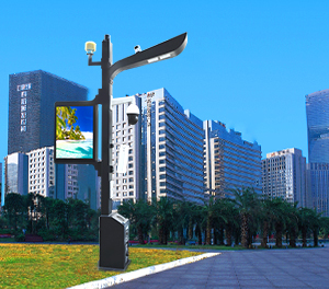 智慧路灯ZX-ZHLD021