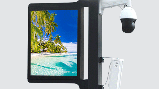 智慧路灯ZX-ZHLD021