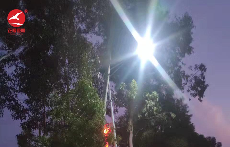 惠州市河南岸下马庄中国结太阳能路灯工程案例 惠州市河南岸下马庄中国结太阳能路灯工程案例