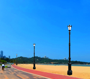 LED庭院灯ZX-TYD089