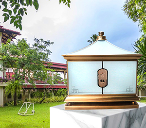 LED柱头灯ZX-ZTD017