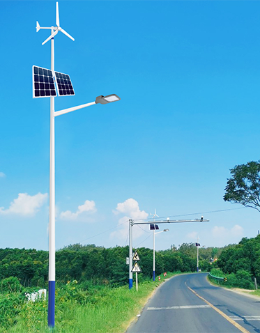 LED太阳能风光互补路灯ZX-FDGBLD001