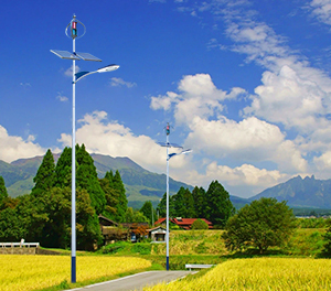 LED太阳能风光互补路灯ZX-FDGBLD002