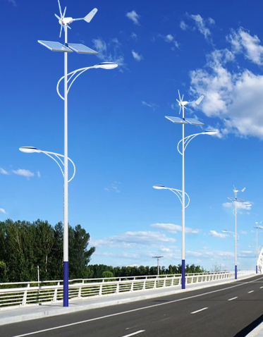 LED太阳能风光互补路灯ZX-FDGBLD009