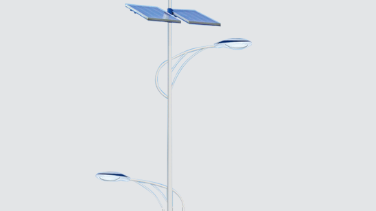 LED太阳能风光互补路灯ZX-FDGBLD009