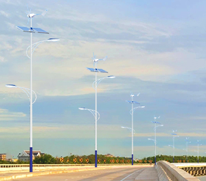 LED太阳能风光互补路灯ZX-FDGBLD009