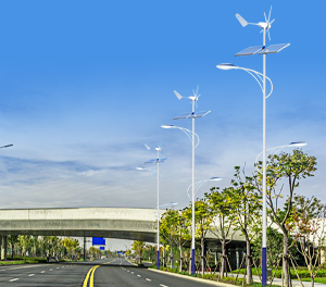 LED太阳能风光互补路灯ZX-FDGBLD009